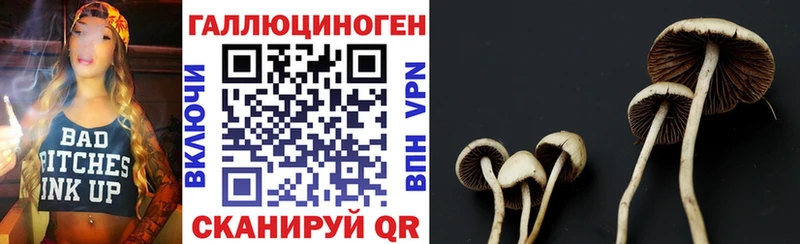 Псилоцибиновые грибы Psilocybe  Ленинск 